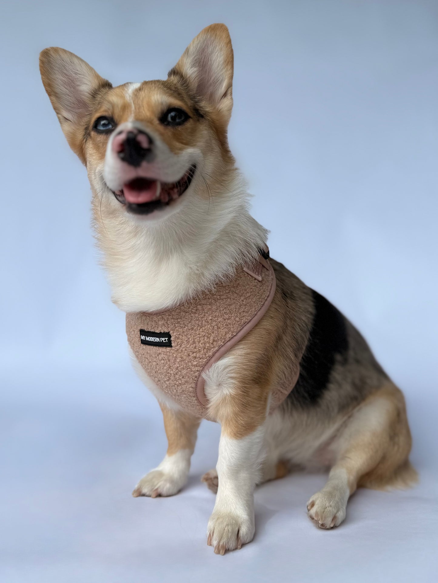 Teddy Harness – Soft Adjustable Dog Harness