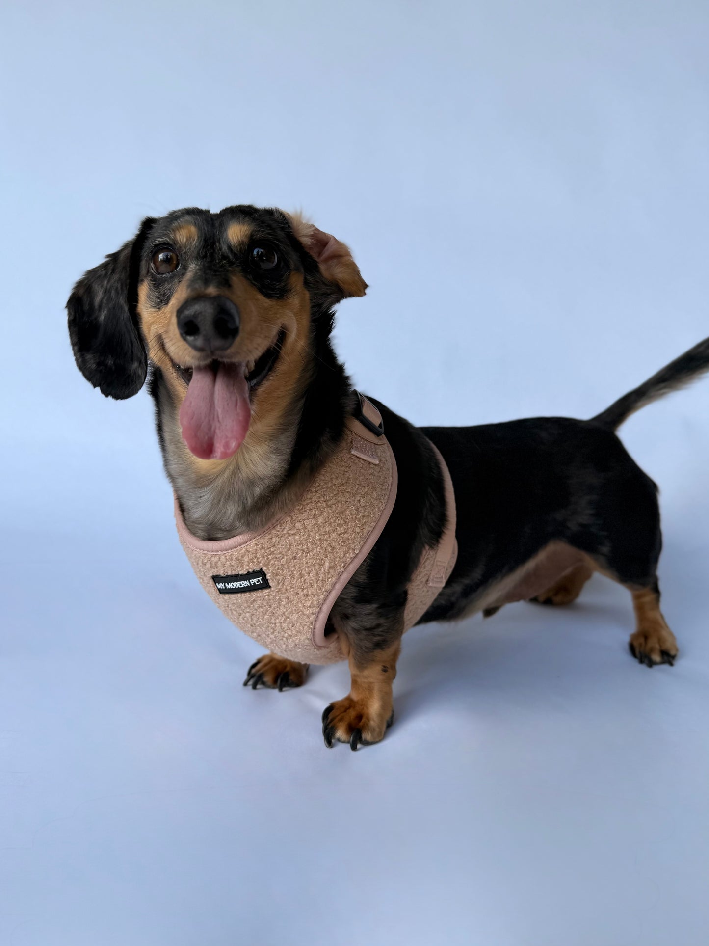Teddy Harness – Soft Adjustable Dog Harness