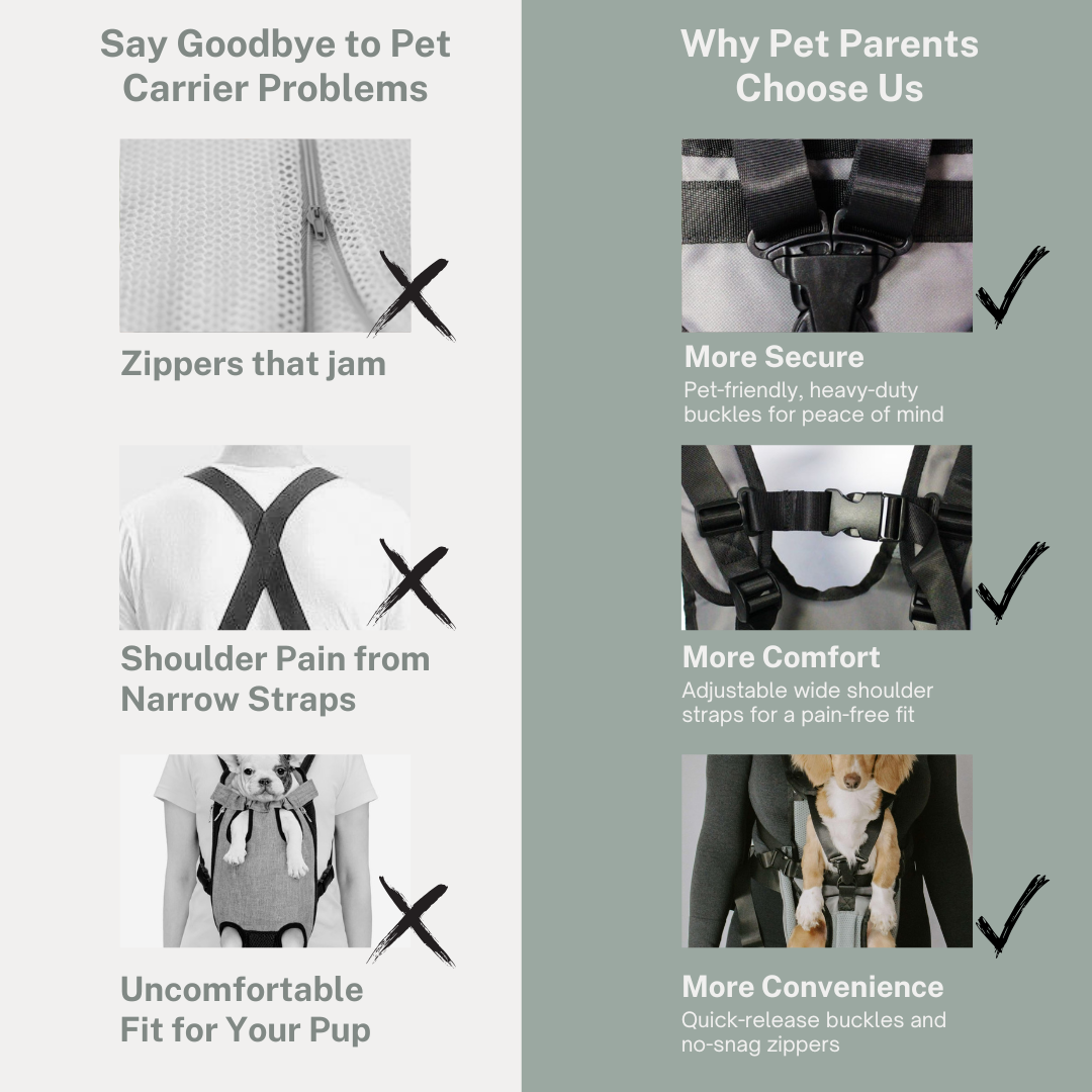 My Modern Pet Dog Carrier
