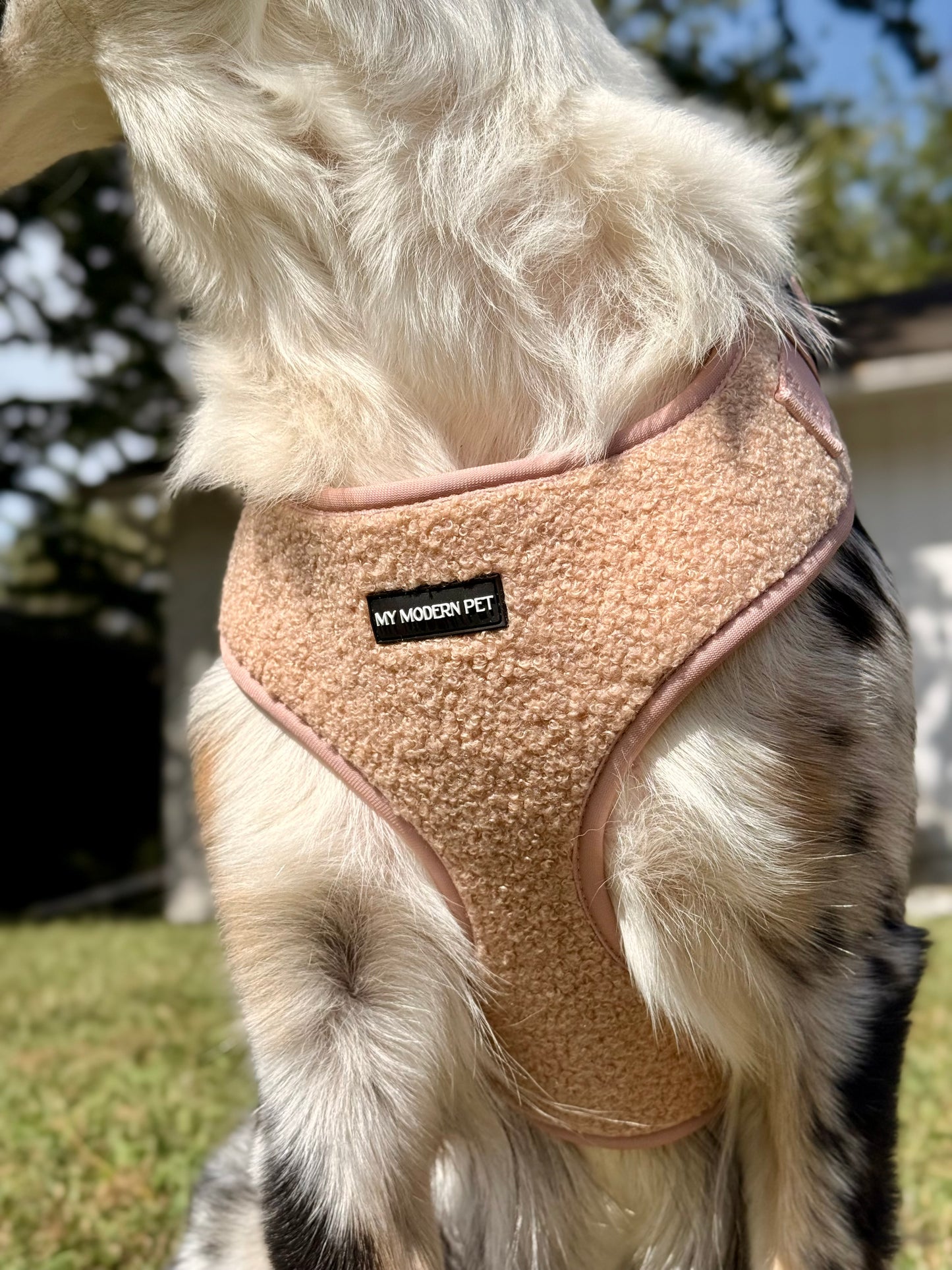 Teddy Harness – Soft Adjustable Dog Harness