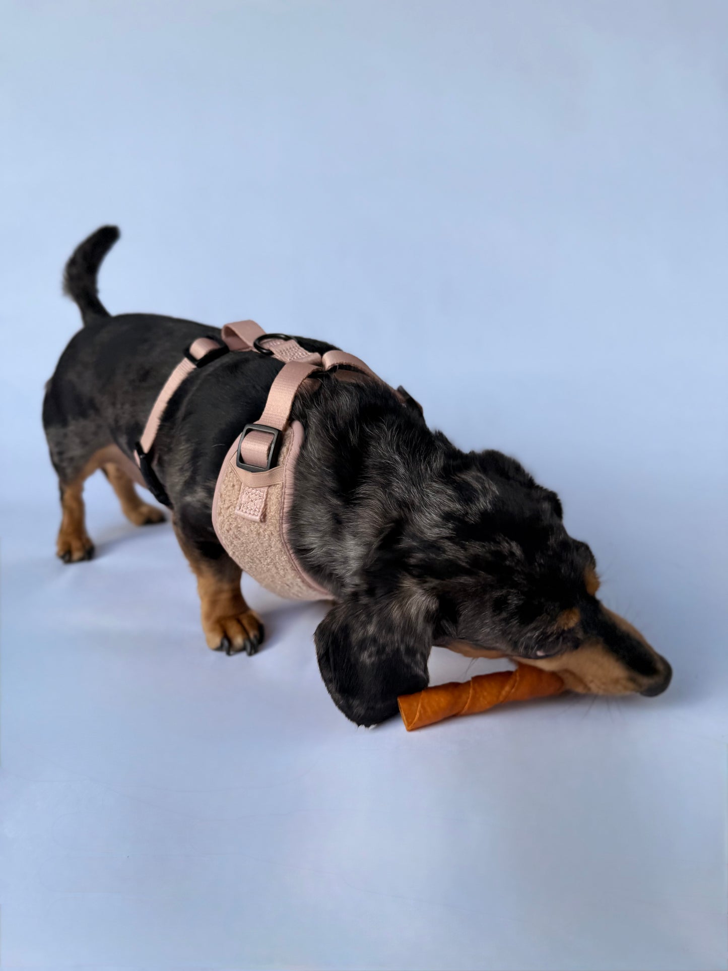 Teddy Harness – Soft Adjustable Dog Harness