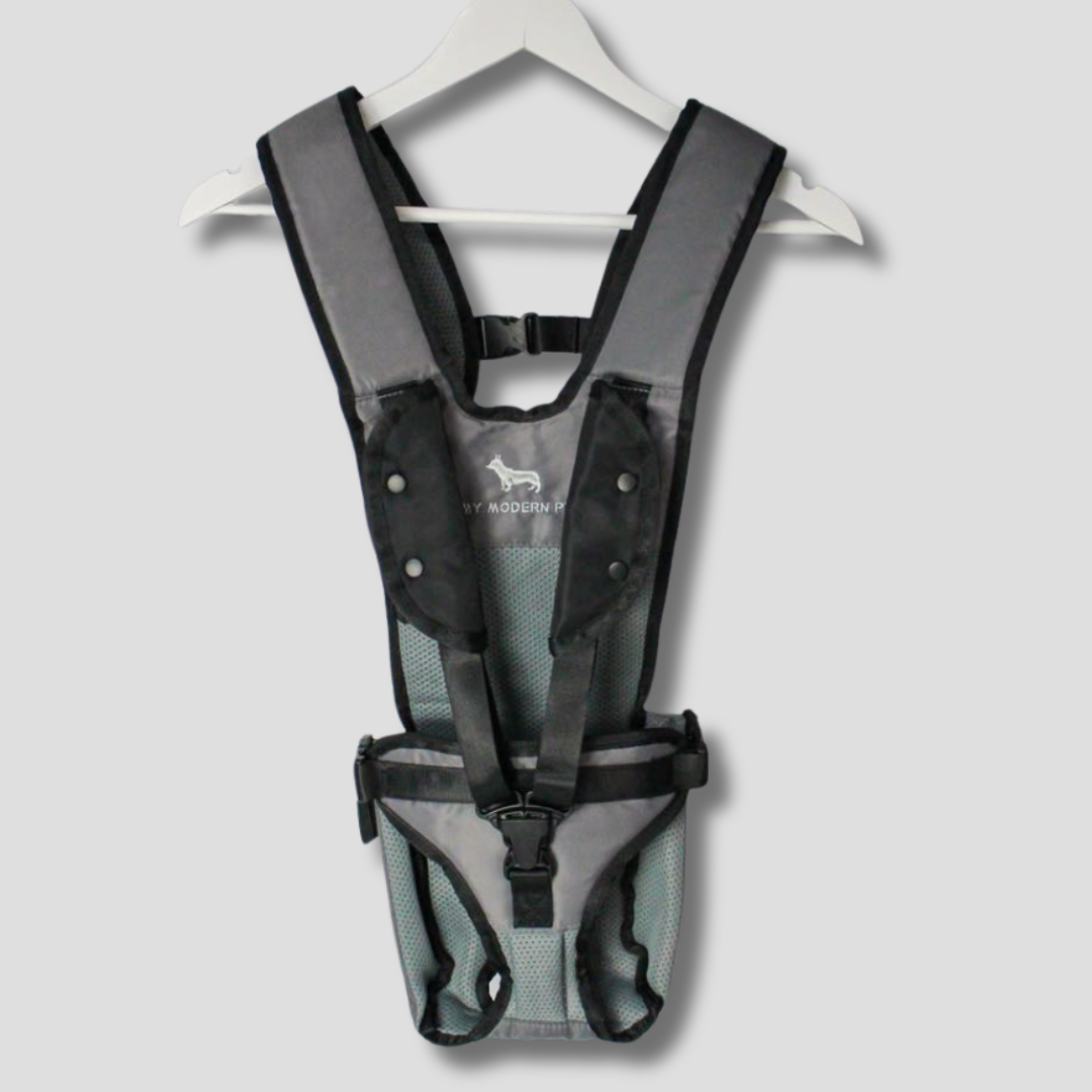 My Modern Pet Dog Carrier