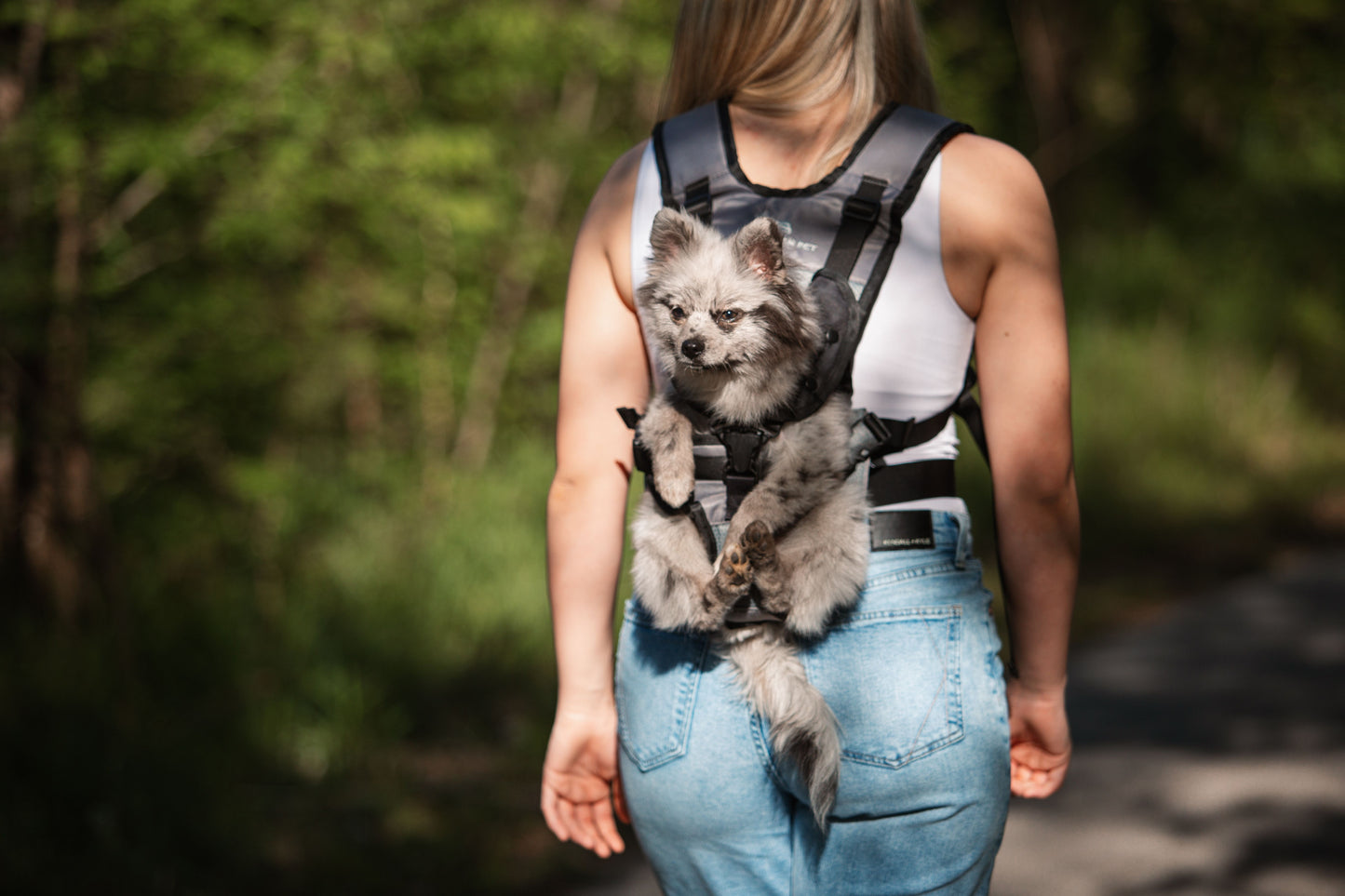 My Modern Pet Dog Carrier