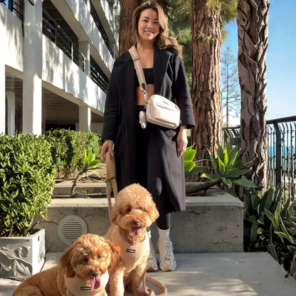 Dog Walking Desert Tan Bag Bundle- Teddy Strap