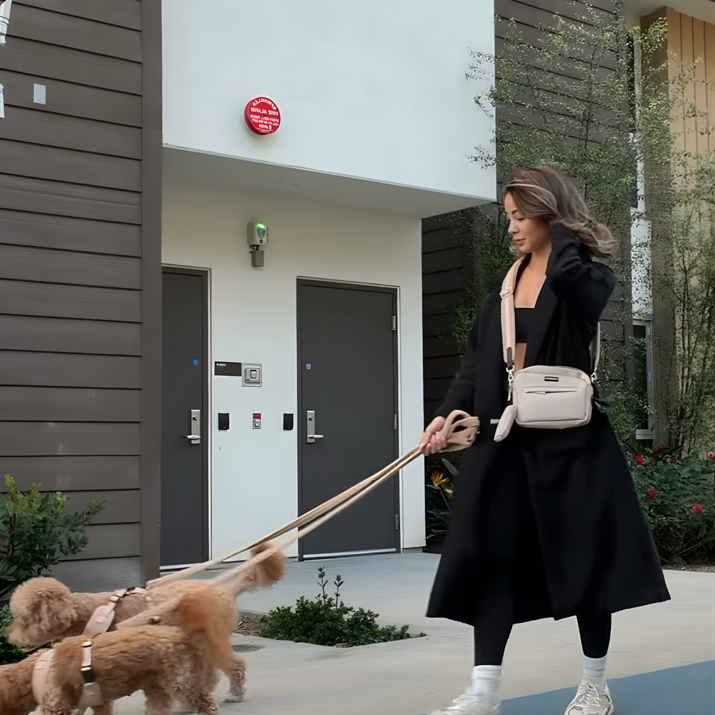 Dog Walking Desert Tan Bag Bundle- Teddy Strap