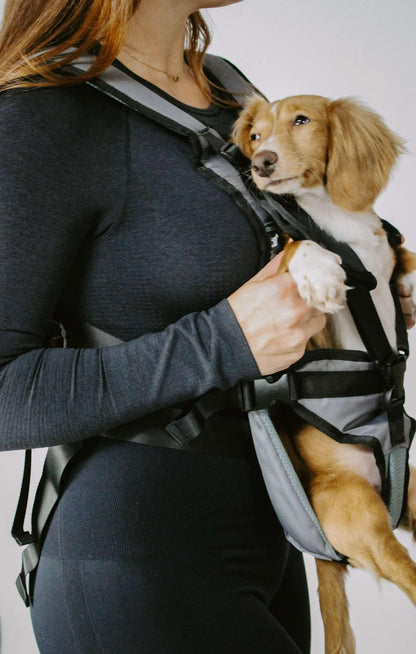 My Modern Pet Dog Carrier
