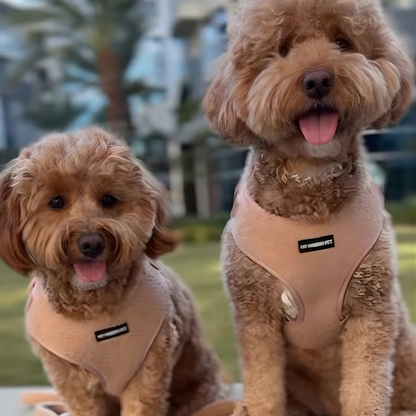 The Teddy Harness