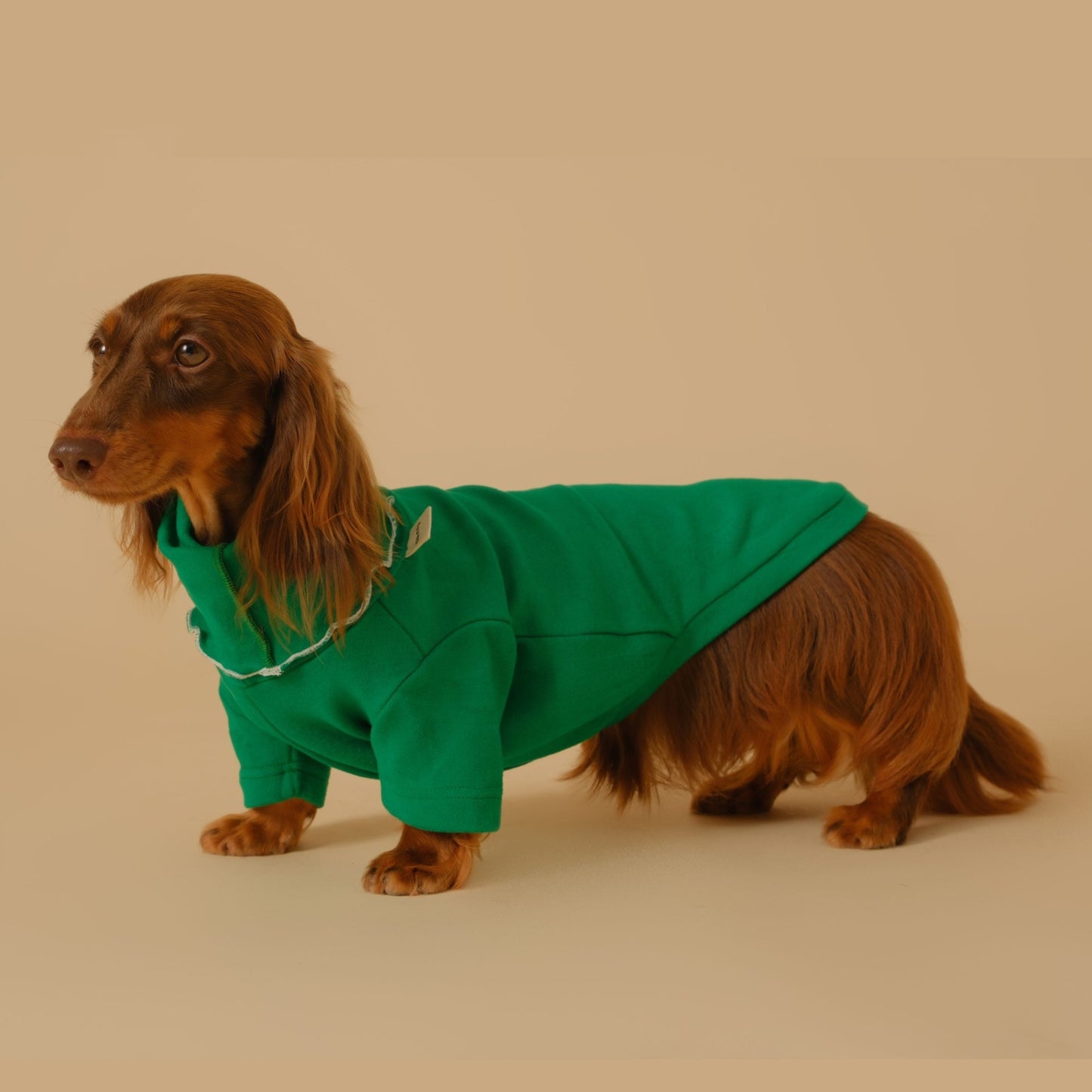 Cozy Dachshund Sweater