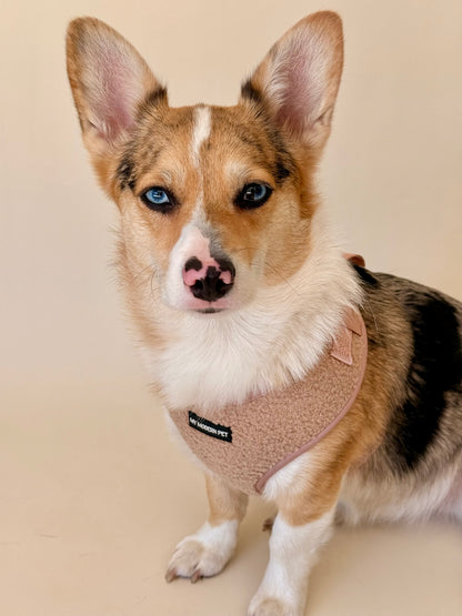 Teddy Harness – Soft Adjustable Dog Harness