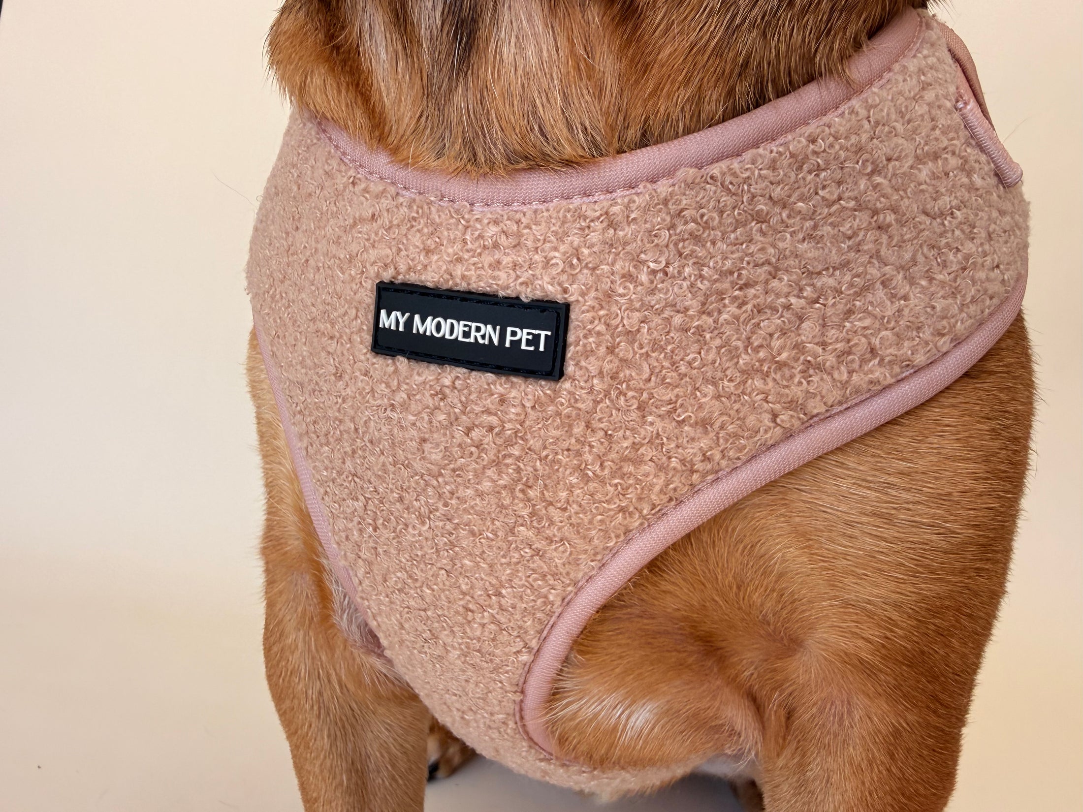 The Teddy Harness