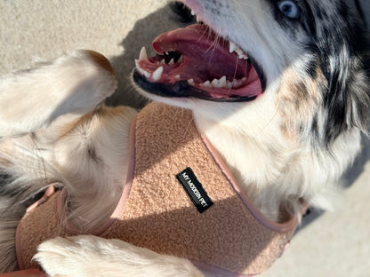 Teddy Harness – Soft Adjustable Dog Harness