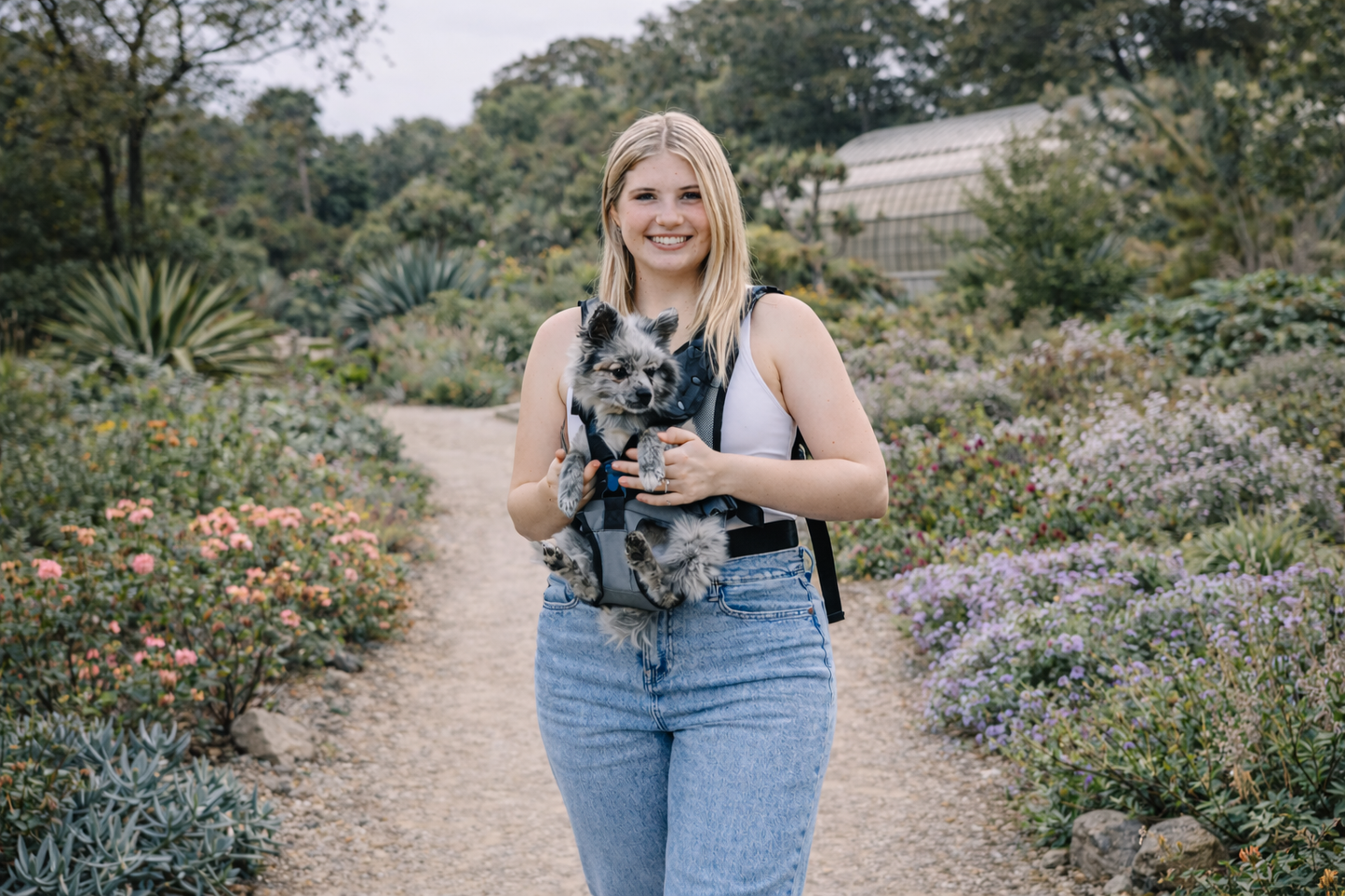 My Modern Pet Dog Carrier