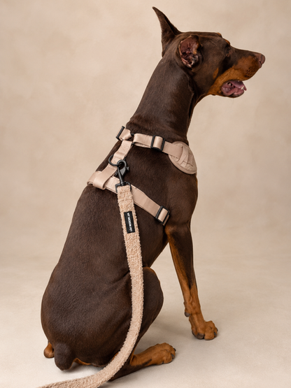 The Teddy Harness