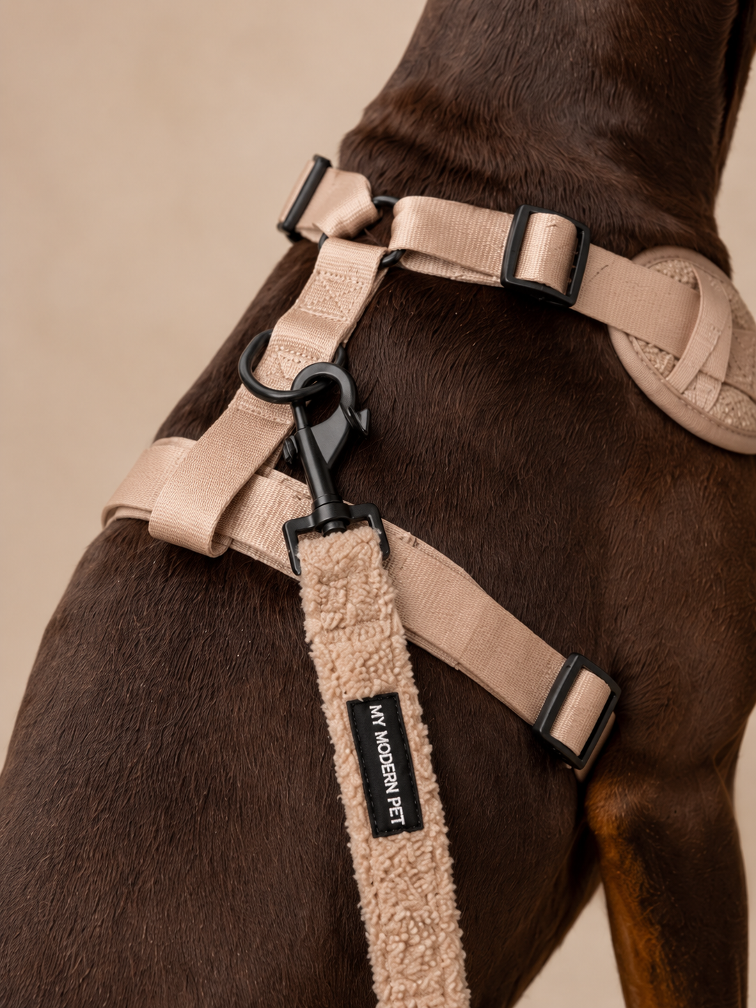 The Teddy Harness