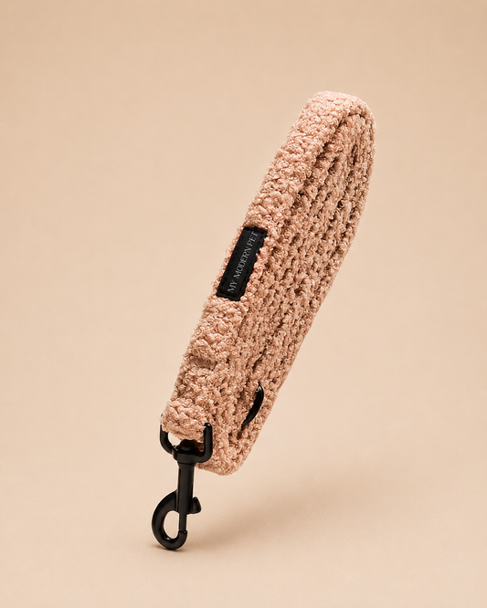 The Everyday Walk Leash