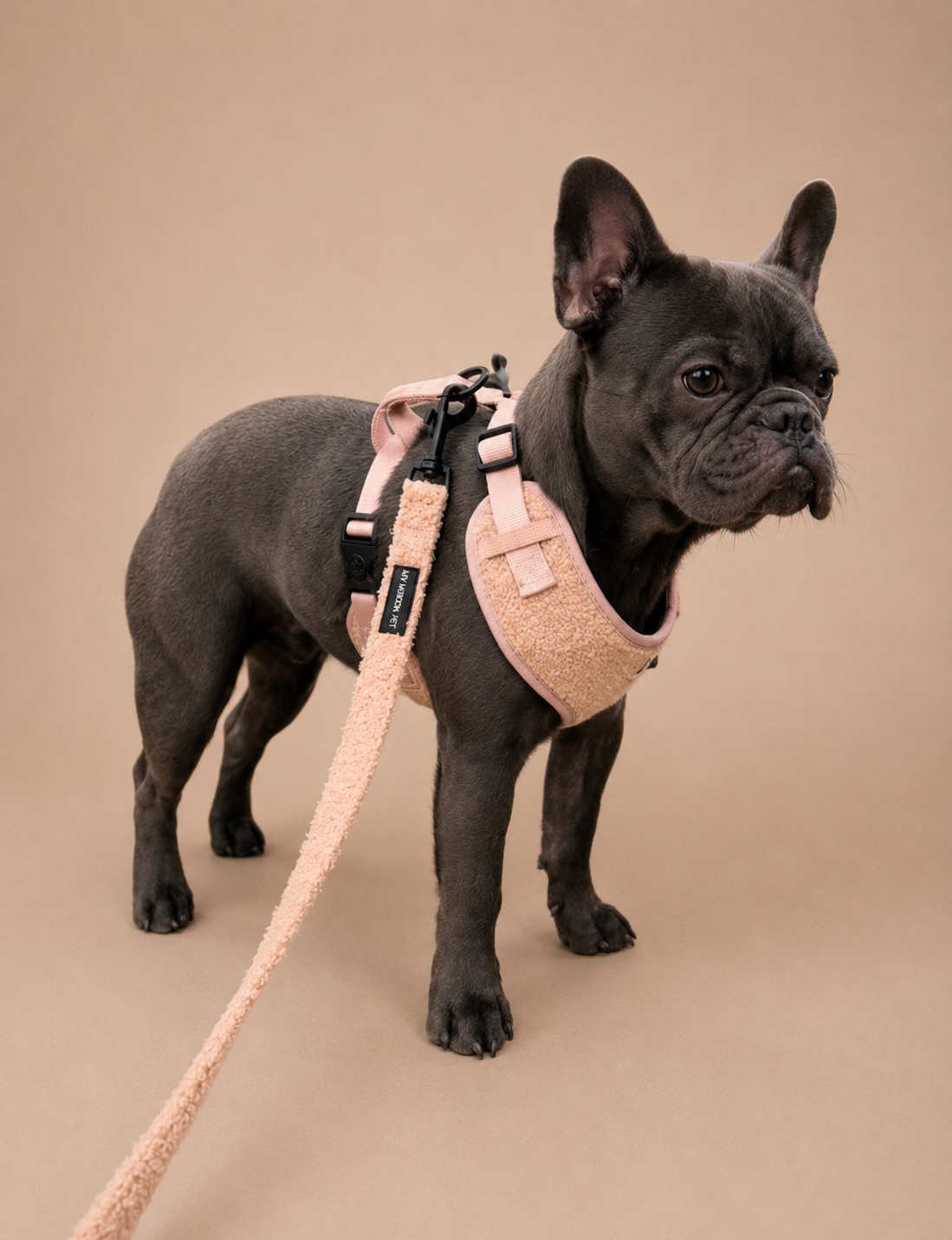 The Teddy Harness