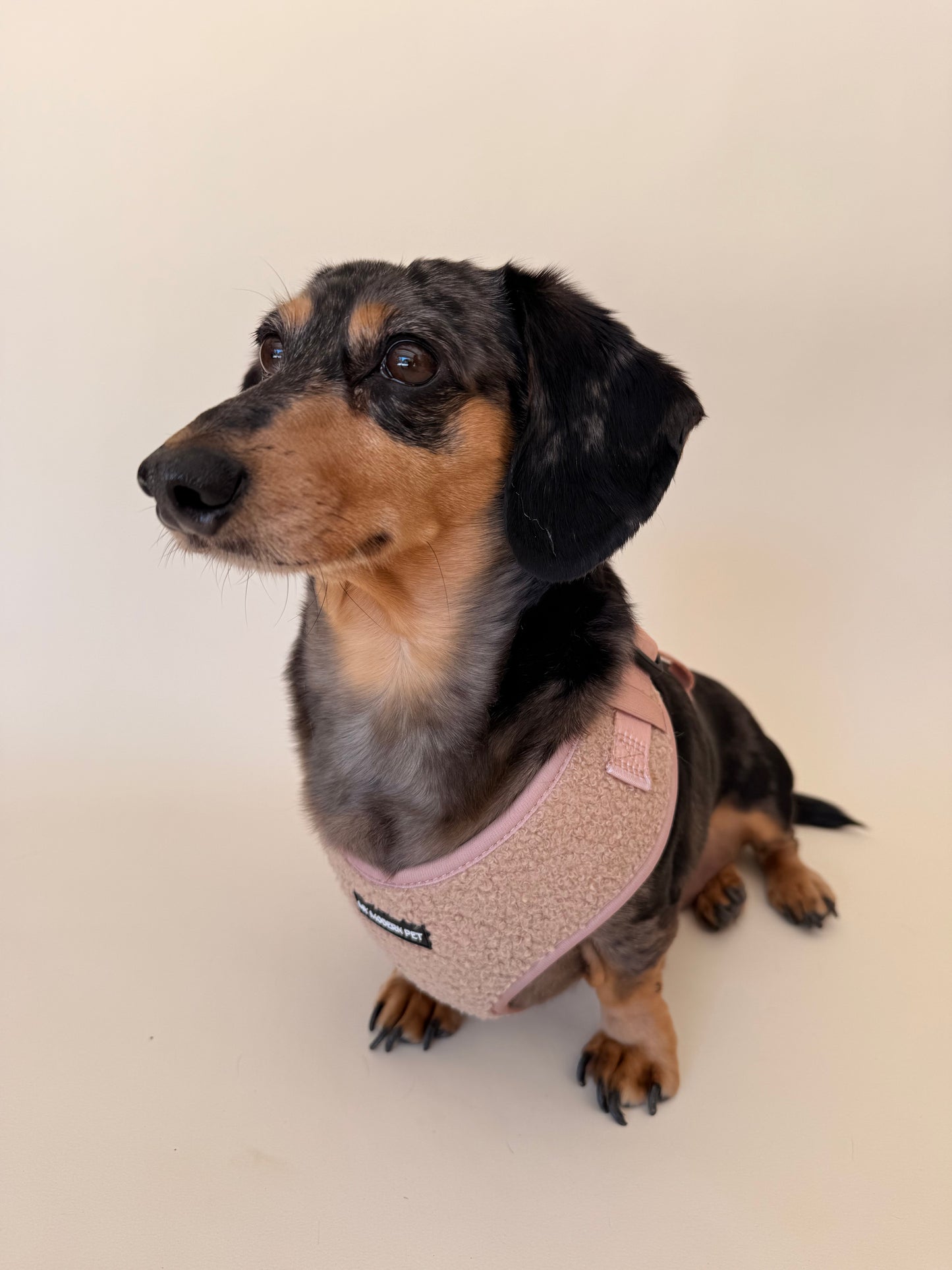 Teddy Harness – Soft Adjustable Dog Harness