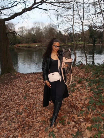 Dog Walking Desert Tan Bag Bundle- Teddy Strap