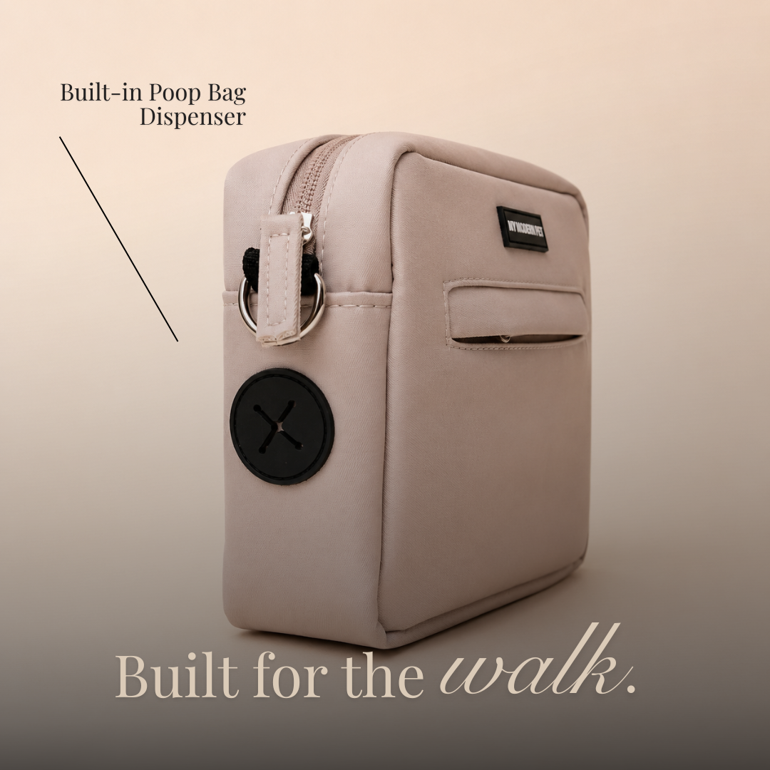 The Teddy Walking Bag
