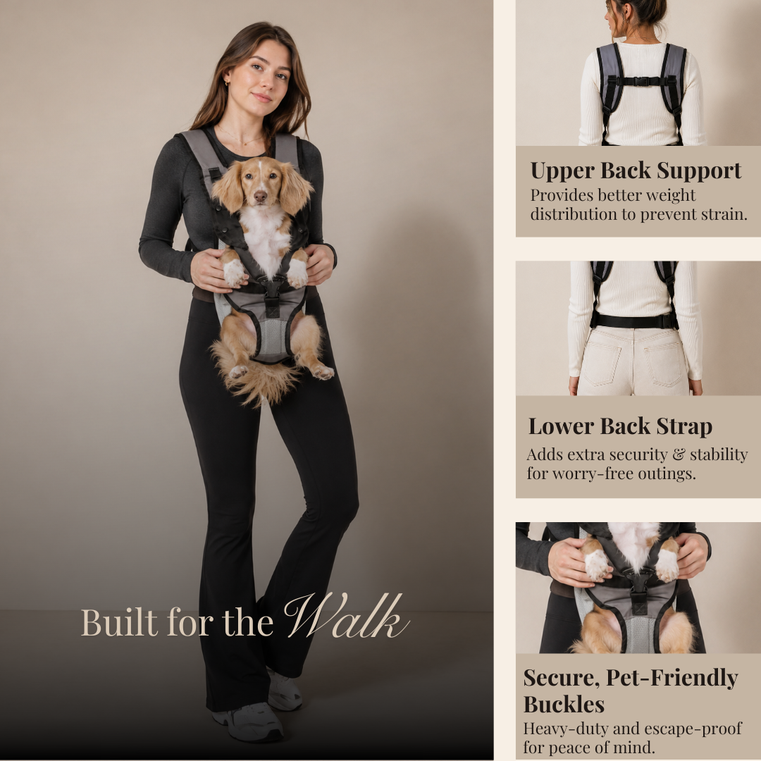 The Comfort Carry Carrier
