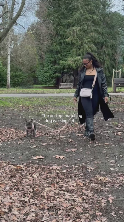 Dog Walking Desert Tan Bag Bundle- Teddy Strap